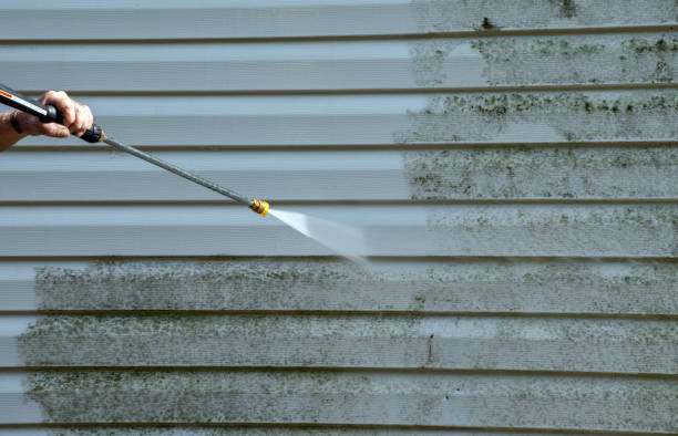 Best Fence Pressure Washing  in Bloomfield Hills, MI
